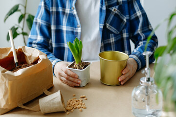 Gardening at home. A gardener girl transplants a hyacinth into a pot with earth standing at the table at home. Spring time.