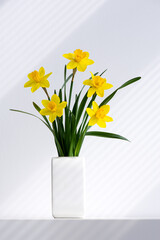 Hello spring, summer flowers vertical background concept. Beautiful yellow bunch of blossoming narcissus flowers in white vase on white nature background, space for text.