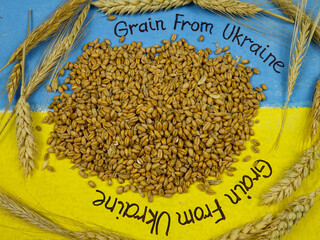 Wheat and ears of wheat on flag of Ukraine, an inscription 