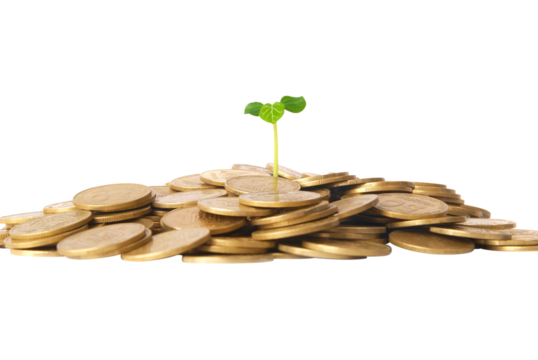 Green plant grow from gold coins. Money financial concept in PNG isolated on transparent background