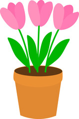 Tulip in pot vector illustration