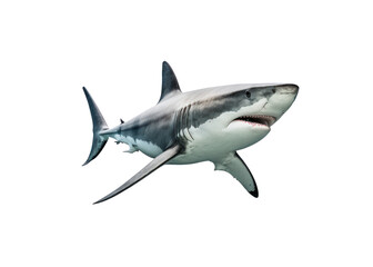 Shark isolated on white, transparent background, PNG, generative ai