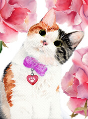 Obraz na płótnie Canvas Watercolor illustration of a cute white cat with a heart pendant and a blue bow on the pink roses background