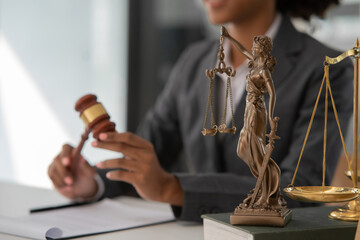 Obraz premium Female lawyer working at client's office discussing documents