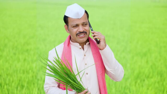 Worried farmer on mobile phone call talking about Pest attack on crop at farmland - concept of conversation, Crop loss and damage