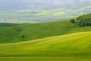 view of the green hills of Tuscany, Val D'orcia valley.