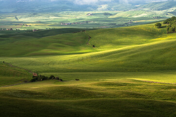 view of the green hills of Tuscany, Val D'orcia valley.