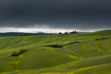 Obraz premium view of the green hills of Tuscany, Val D'orcia valley.