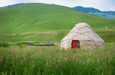 yurt - Powered by Adobe