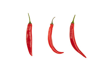 Red hot pepper on a white background.