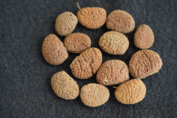 
Seeds of Cynometra (maybe Cynometra bauhiniifolia benthan) is a botanical genus belonging to the Fabaceae family. Manaus, Amazon – Brazil.

