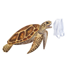 Fototapeta premium Sea turtle hunts eats package instead jellyfish. Hand-drawn watercolor illustration isolated on white background. For ecology posters, save the ocean