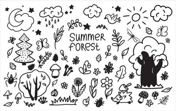 A large set of cliparts summer forest. Collection of doodles, trees, leaves, flowers, hedgehog, bird, insects, clouds, sun and moon. Hand-drawn icons
