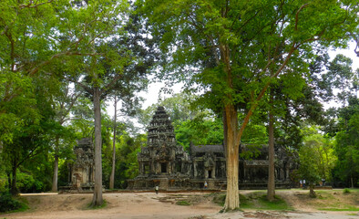 Jungle temple within the Angkor Wat complex Cambodia.