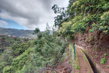 Portugal - Madeira - Cruz - Levada do Castelejo