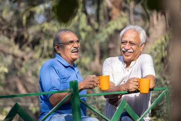 Two senior friends having fun raising a toast with coffee cups at park