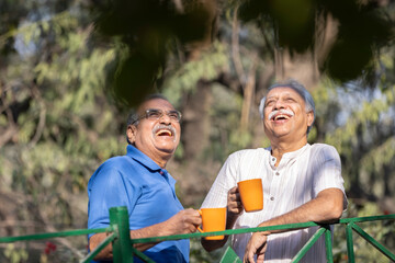 Two senior friends having fun raising a toast with coffee cups at park