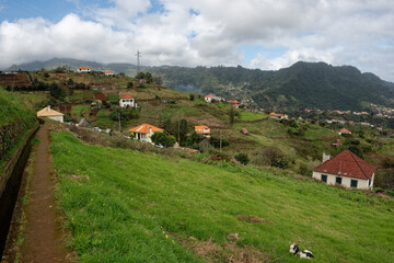 Portugal - Madeira - Cruz - Levada do Castelejo