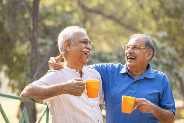 Two senior friends having fun raising a toast with coffee cups at park