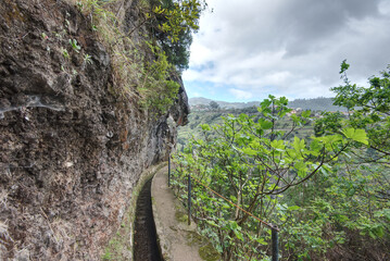Portugal - Madeira - Cruz - Levada do Castelejo