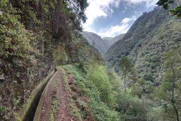 Portugal - Madeira - Cruz - Levada do Castelejo