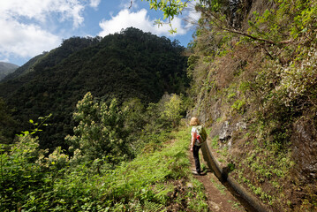 Portugal - Madeira - Cruz - Levada do Castelejo