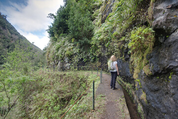 Portugal - Madeira - Cruz - Levada do Castelejo