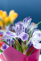 Fototapete bei efototapeten.de bestellen   