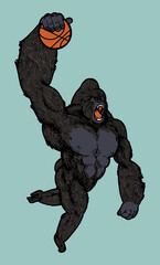 Gorilla slam dunk. Gorilla jumping with a basketball isolated vector illustration. © Handdraw