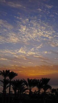 Beautiful landscape with palms on resort beach and sunrise over sea, timelapse. Vertical video