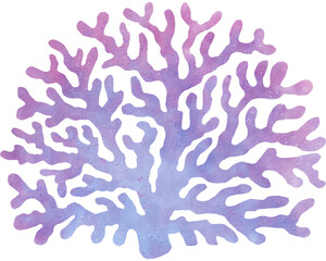 Coral watercolor png