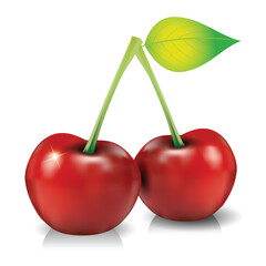 Fresh Red Cherry vector illustration