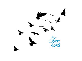 A flock of flying birds. Free birds. Vector illustration