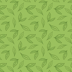 Green tea pattern wallpaper. Green tea doodle vector. Matcha pattern.