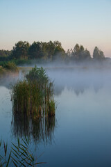 morning on the river