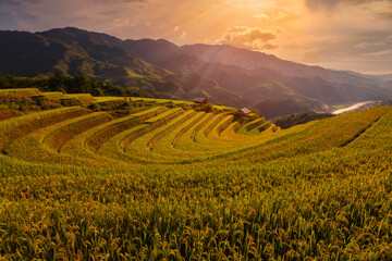 Mu cang chai village walking on the mountain and golden rice terraces and sunset at Mucangchai town near Sapa city, north of Vietnam