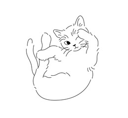 Vector isolated one single cute cartoon cat kitten lying on back in funny pose colorless black and white contour line easy drawing

