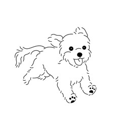 Vector isolated one single cute cartoon fast running shaggy lapdog puppy dog colorless black and white contour line easy drawing

