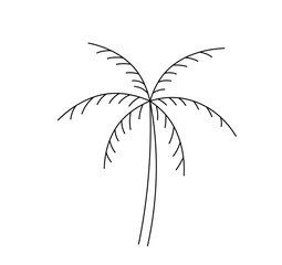 Vector isolated one single palm three stick colorless black and white contour line easy drawing

