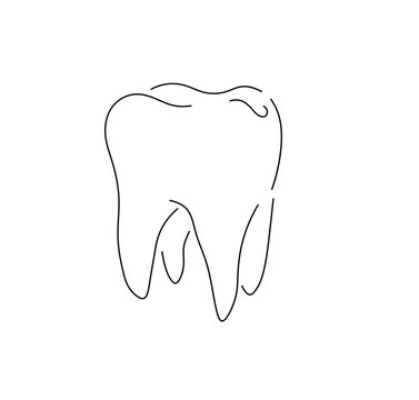 Vector isolated one single big large molar tooth with four roots colorless black and white contour line easy drawing


