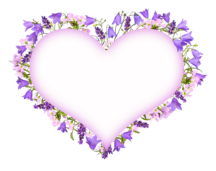 Bellflowers, lavender and meadow flowers as a heart frame, transparent background