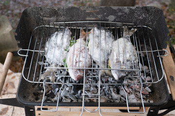Barbecue Party 