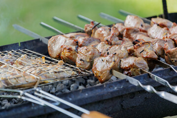 Meat on skewers, grilled. Close-up.