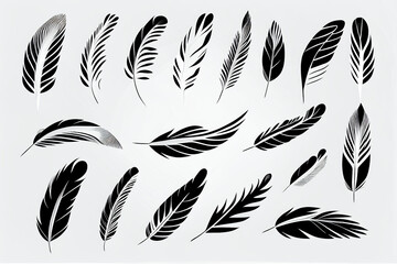 Fototapeta na wymiar black feather on white background