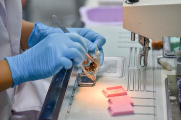 A pathologist is preparing a pathological biopsy for laboratory diagnosis of pathology.