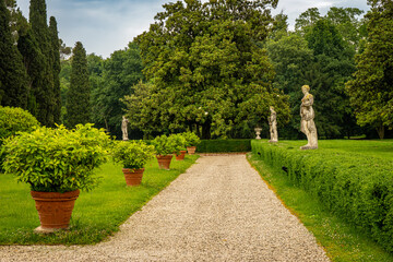 path in the park