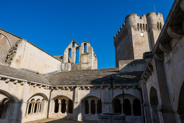 Cloître de l'Abbaye de Montmajour, près d'Arles