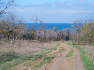 Obraz premium Beautiful spring park on the seashore.