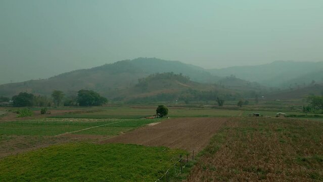 Aerial view of the field in Thailand, 4k