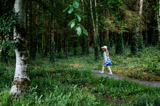 6 Year Old Girl In A Dress Walking on a Forest Trail in Ireland